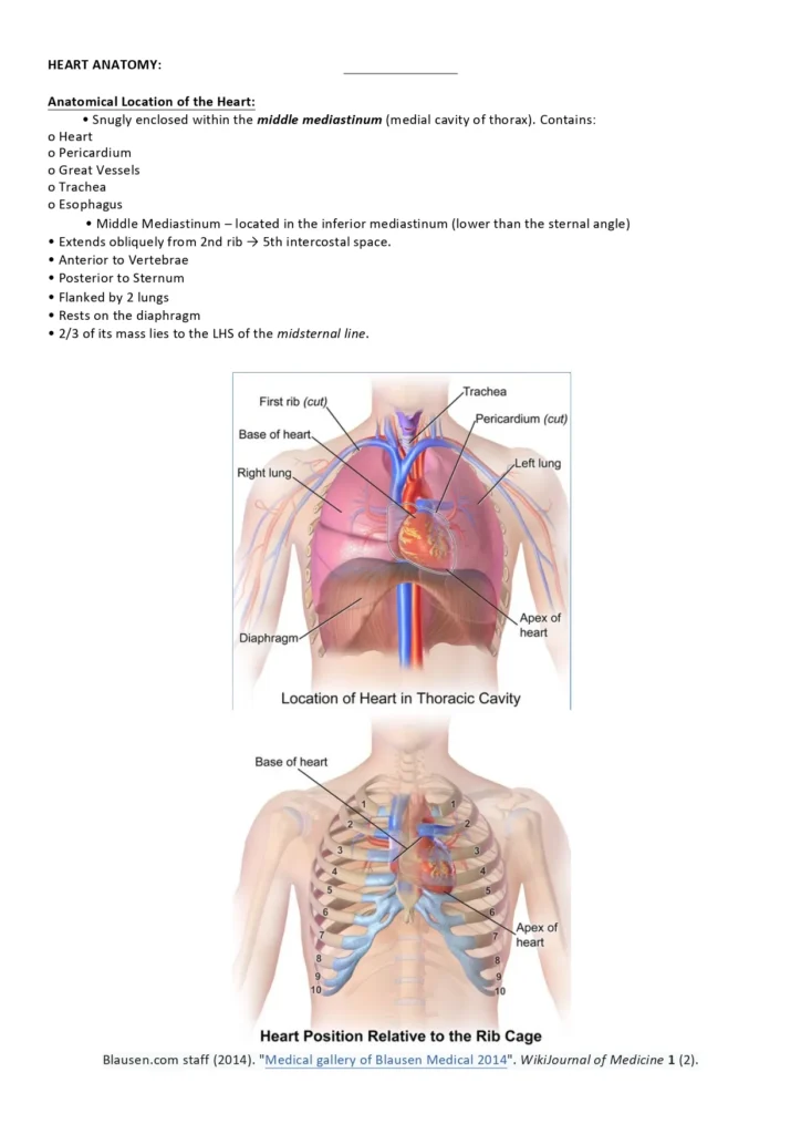 Cardiovascular_System-4_page-0001