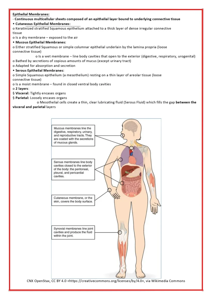 Cell_Biology___Biochemistry-96_page-0001